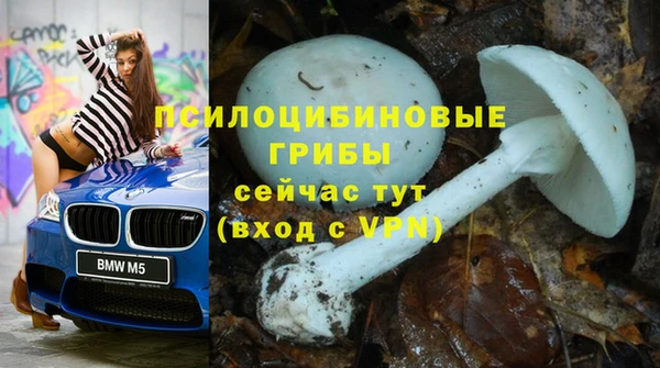 спайс Волосово