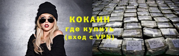 стаф Волоколамск