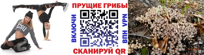 Галлюциногенные грибы мухоморы  наркотики  площадка состав  Лосино-Петровский 